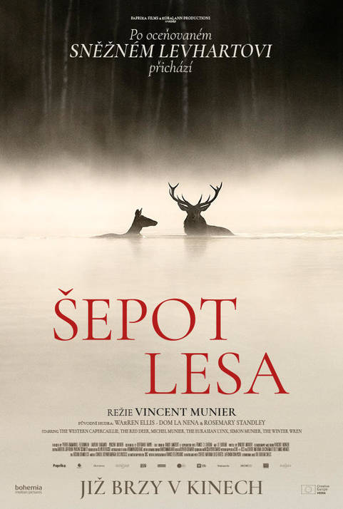 ŠEPOT LESA